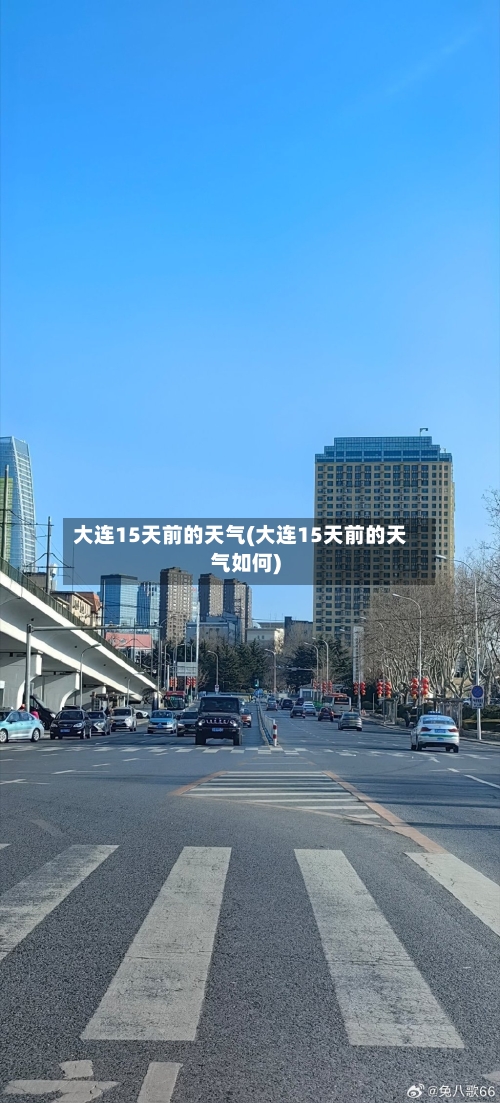 大连15天前的天气(大连15天前的天气如何)