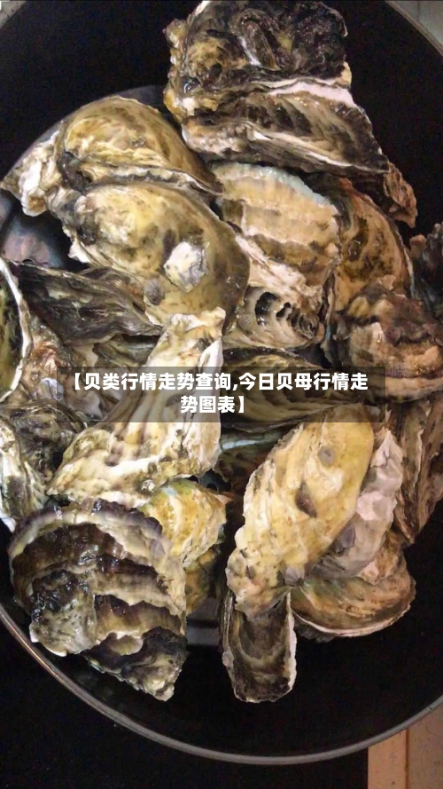 【贝类行情走势查询,今日贝母行情走势图表】