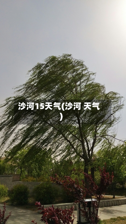 沙河15天气(沙河 天气)