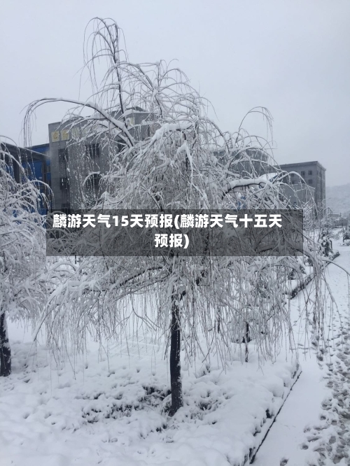 麟游天气15天预报(麟游天气十五天预报)