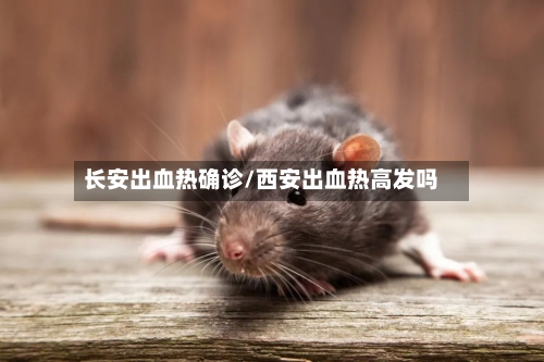 长安出血热确诊/西安出血热高发吗
