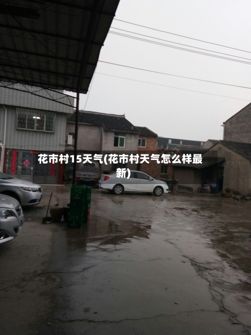 花市村15天气(花市村天气怎么样最新)