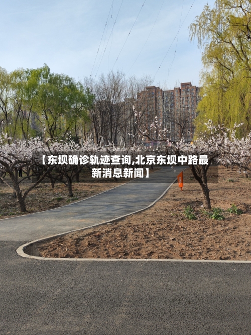 【东坝确诊轨迹查询,北京东坝中路最新消息新闻】