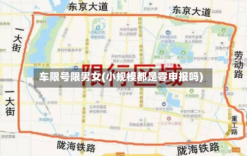 车限号限男女(小规模都是零申报吗)