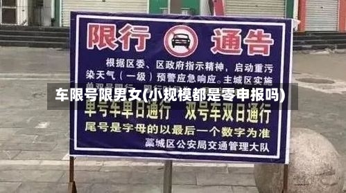 车限号限男女(小规模都是零申报吗)