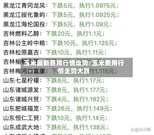 玉米最新费用行情走势/玉米费用行情走势大跌