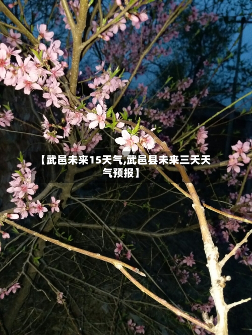 【武邑未来15天气,武邑县未来三天天气预报】
