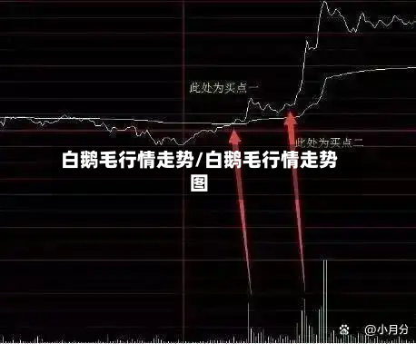 白鹅毛行情走势/白鹅毛行情走势图