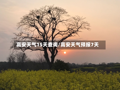 高安天气15天查询/高安天气预报7天
