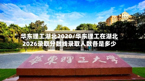 华东理工湖北2020/华东理工在湖北2026录取分数线录取人数各是多少