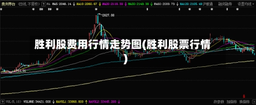 胜利股费用行情走势图(胜利股票行情)