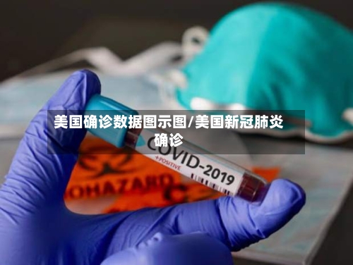 美国确诊数据图示图/美国新冠肺炎确诊