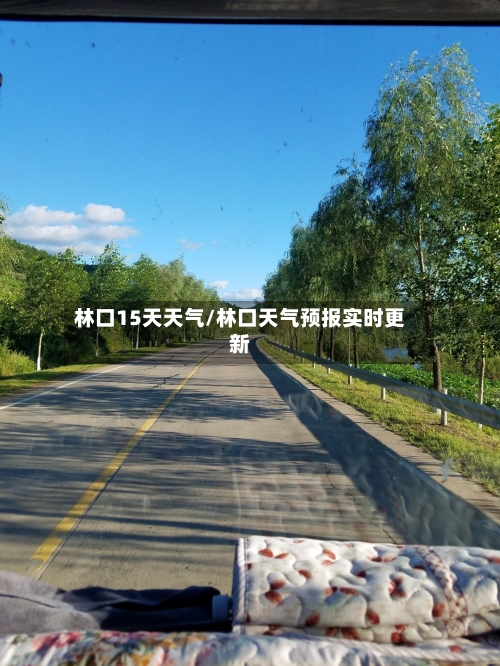 林口15天天气/林口天气预报实时更新