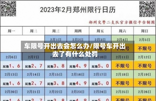 车限号开出去会怎么办/限号车开出去了有什么处罚