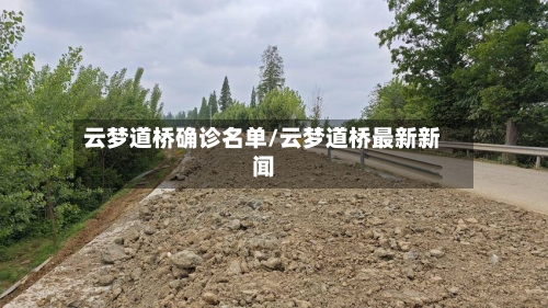 云梦道桥确诊名单/云梦道桥最新新闻