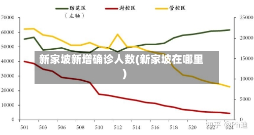 新家坡新增确诊人数(新家坡在哪里)