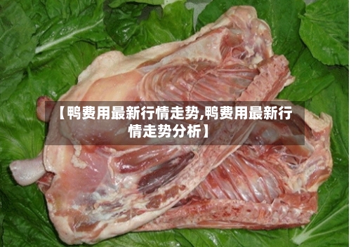 【鸭费用最新行情走势,鸭费用最新行情走势分析】