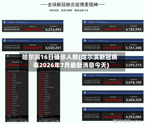哈尔滨16日确诊人数(哈尔滨新冠病毒2026年7月最新消息今天)