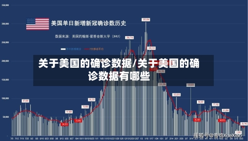 关于美国的确诊数据/关于美国的确诊数据有哪些