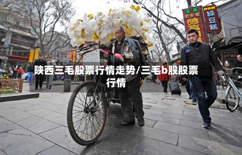 陕西三毛股票行情走势/三毛b股股票行情
