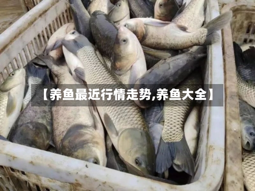 【养鱼最近行情走势,养鱼大全】