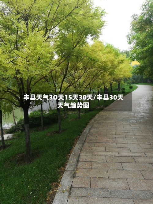 丰县天气3O天15天30天/丰县30天天气趋势图