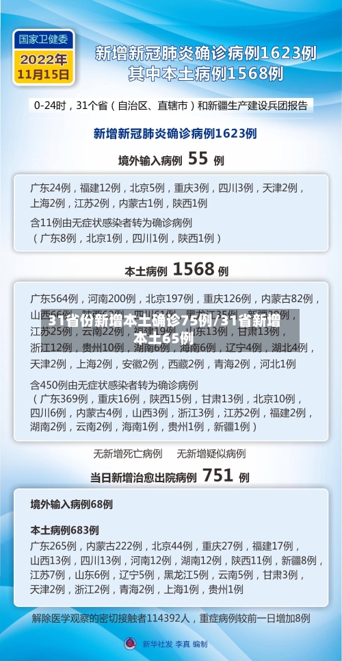 31省份新增本土确诊75例/31省新增本土65例
