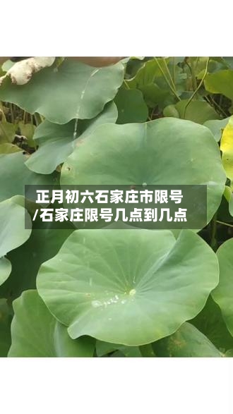 正月初六石家庄市限号/石家庄限号几点到几点