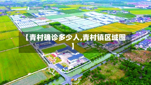 【青村确诊多少人,青村镇区域图】