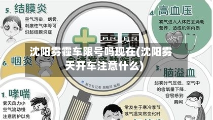 沈阳雾霾车限号吗现在(沈阳雾天开车注意什么)