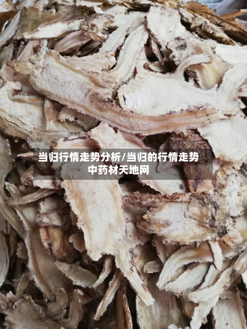 当归行情走势分析/当归的行情走势中药材天地网