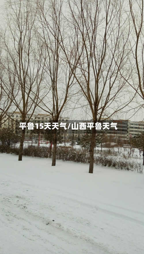平鲁15天天气/山西平鲁天气