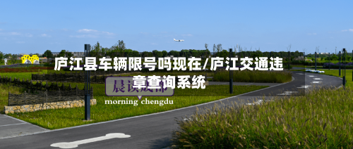 庐江县车辆限号吗现在/庐江交通违章查询系统