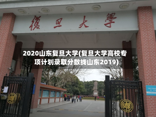2020山东复旦大学(复旦大学高校专项计划录取分数线山东2019)