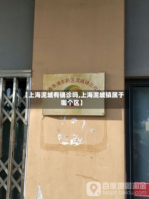 【上海泥城有确诊吗,上海泥城镇属于哪个区】