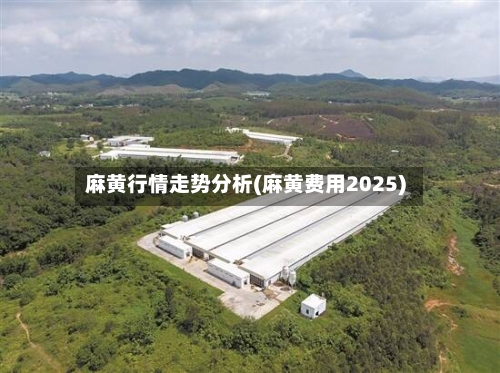 麻黄行情走势分析(麻黄费用2025)