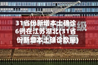 31省份新增本土确诊6例在江苏湖北(31省份新增本土确诊数量)
