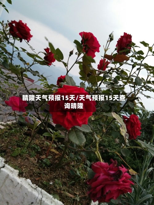 睛隆天气预报15天/天气预报15天查询晴隆