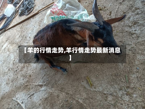 【羊的行情走势,羊行情走势最新消息】