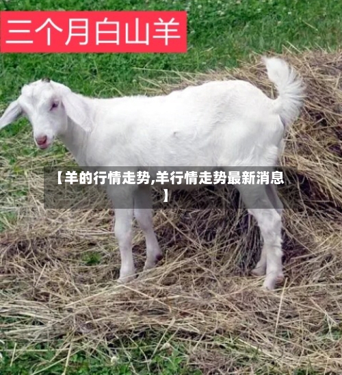 【羊的行情走势,羊行情走势最新消息】