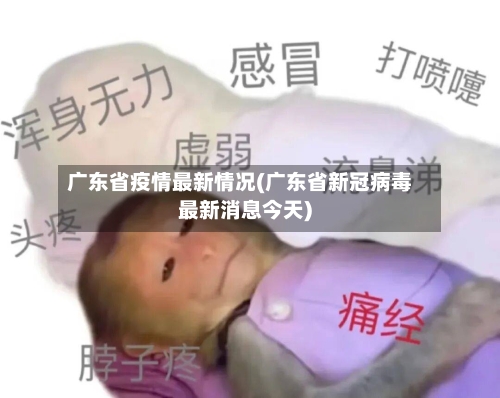 广东省疫情最新情况(广东省新冠病毒最新消息今天)