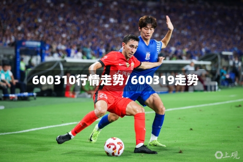 600310行情走势/600319走势