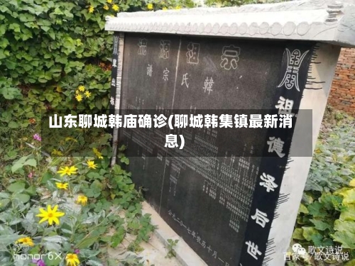 山东聊城韩庙确诊(聊城韩集镇最新消息)
