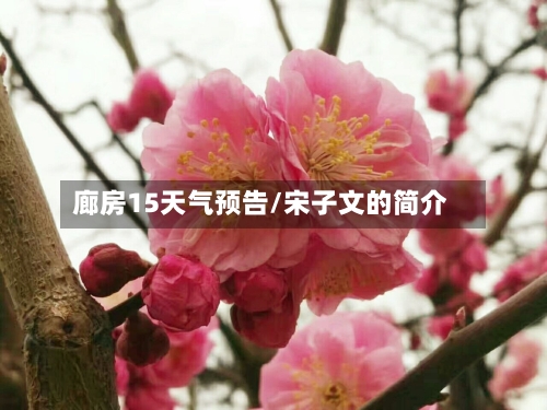 廊房15天气预告/宋子文的简介