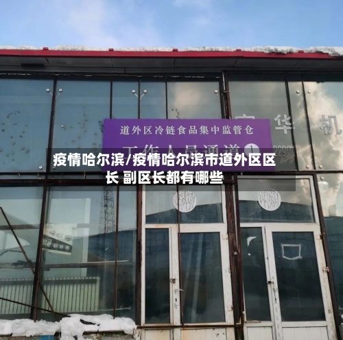 疫情哈尔滨/疫情哈尔滨市道外区区长 副区长都有哪些
