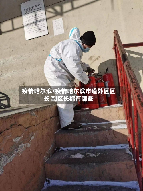 疫情哈尔滨/疫情哈尔滨市道外区区长 副区长都有哪些