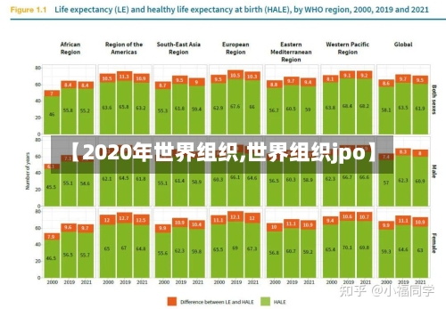 【2020年世界组织,世界组织jpo】