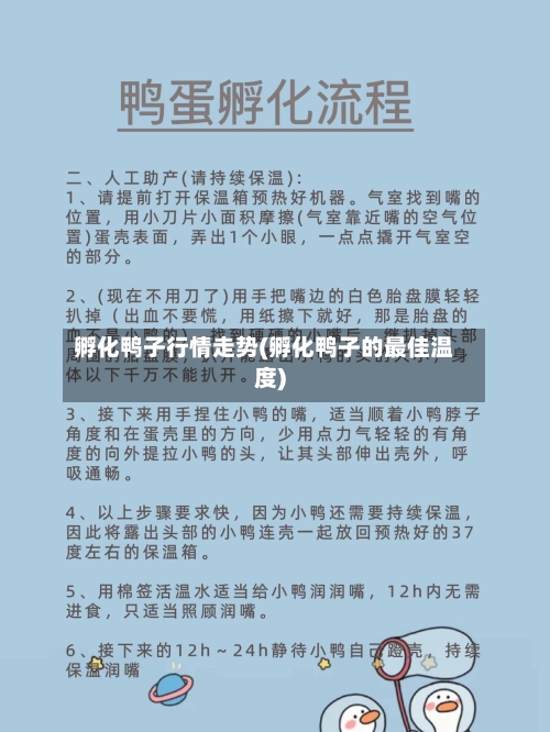 孵化鸭子行情走势(孵化鸭子的最佳温度)