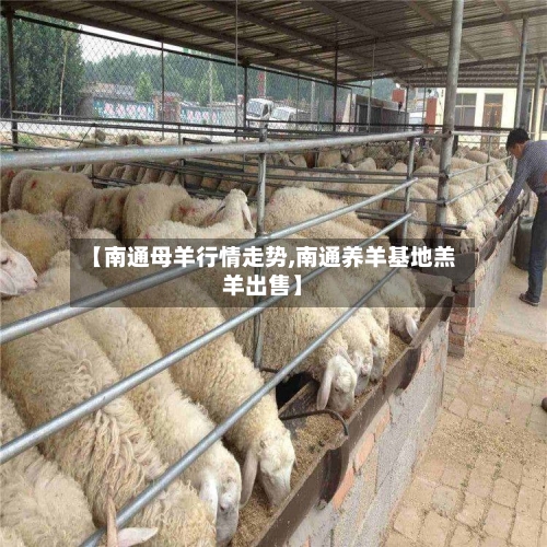 【南通母羊行情走势,南通养羊基地羔羊出售】