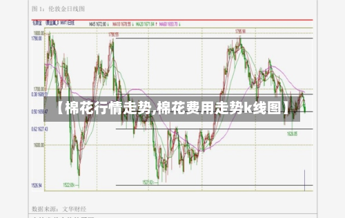 【棉花行情走势,棉花费用走势k线图】